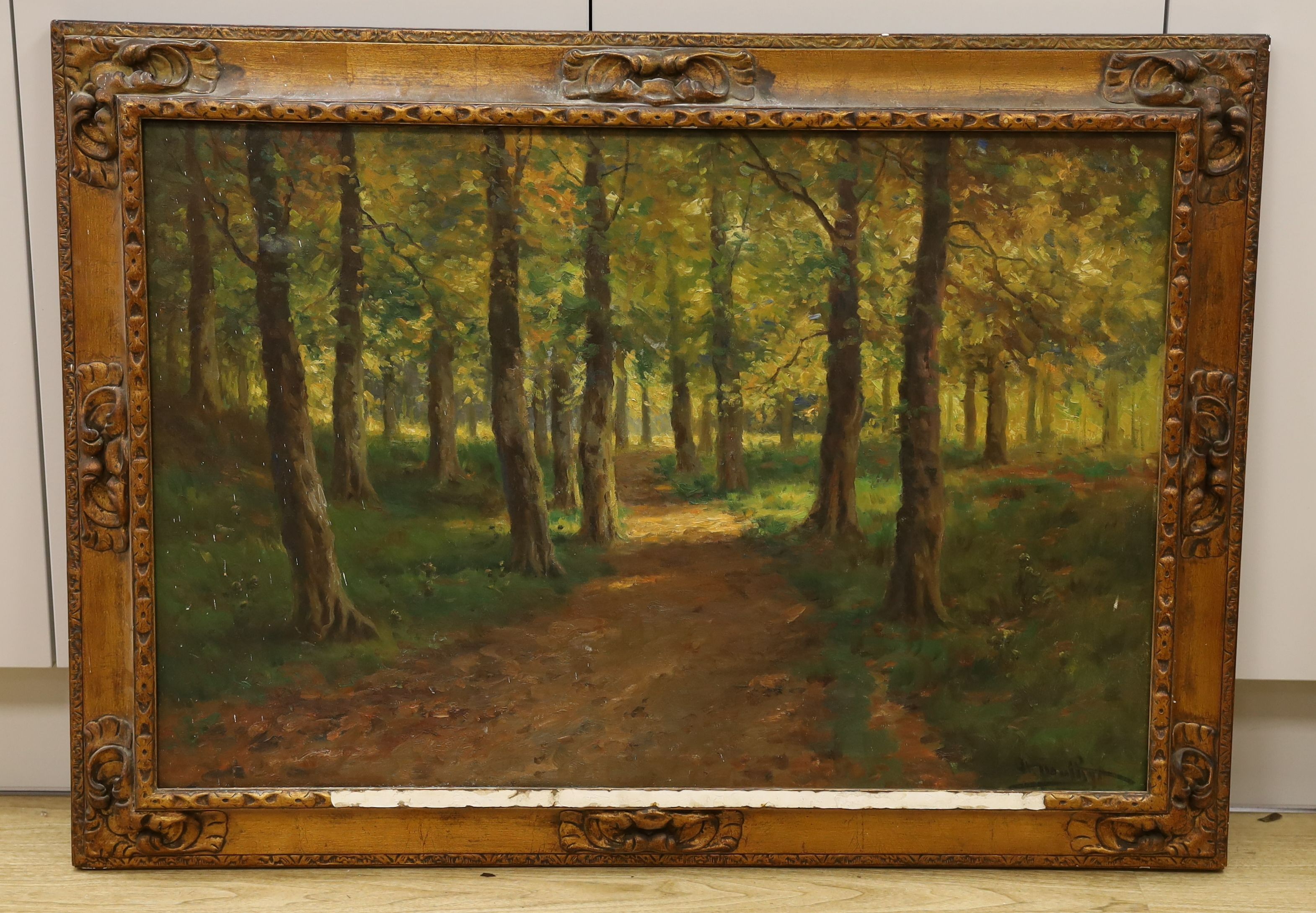 Continental School, oil on canvas, Woodland scene, indistinctly signed, 59 x 89cm